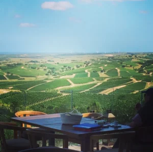 Vista panorâmica dos olivais da Colinas de Garzón a partir do deque