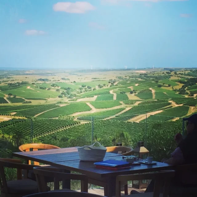 Vista panorâmica dos olivais da Colinas de Garzón a partir do deque