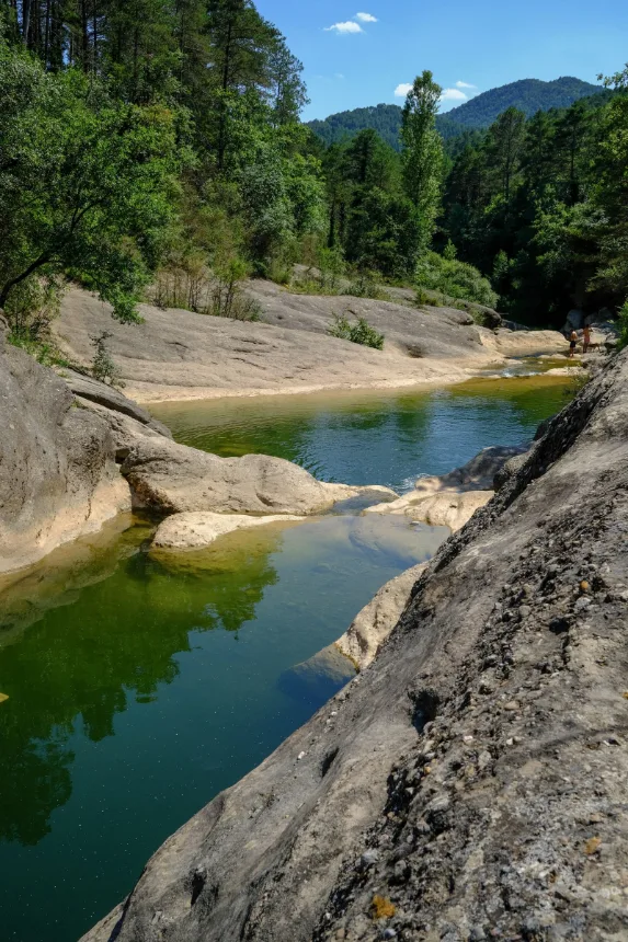 Poço de água transparente sobre laje de pedra cercado de mata