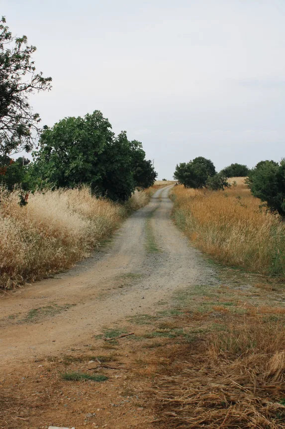 Estrada de terra atravessando o campo em direcao ao parque