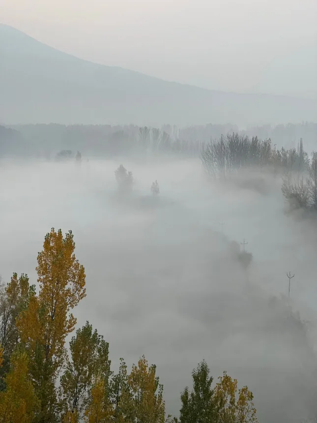 Paisagem de campo com neblina baixa entre as arvores pela manha