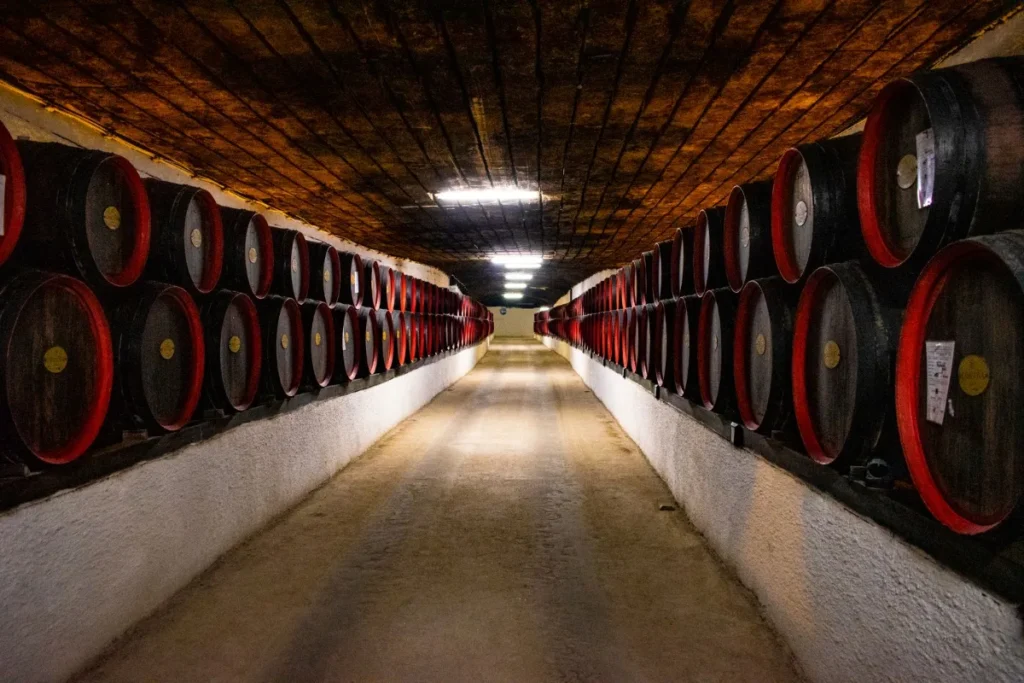 Corredor de barris de carvalho no interior de uma bodega