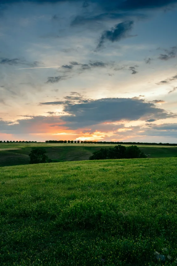 Campo verde ao entardecer, com arvores no horizonte