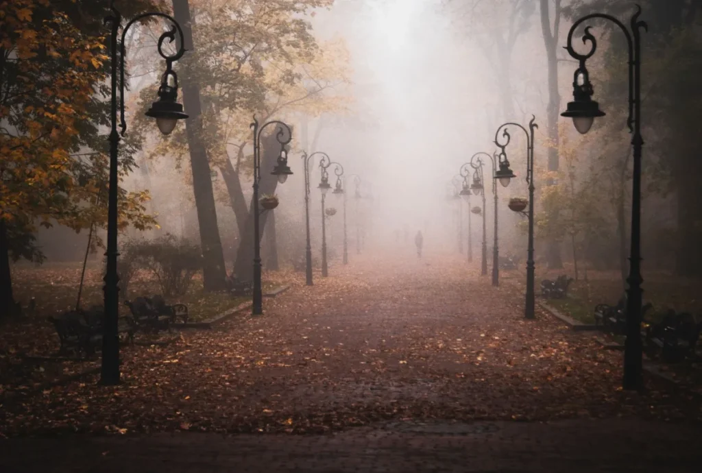 Alameda de parque coberta de folhas com lampioes antigos em dia de neblina