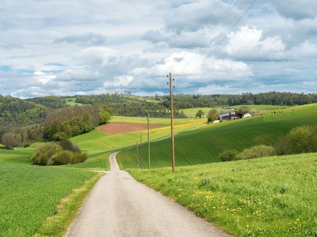 Estrada rural cercada por campos verdes no interior