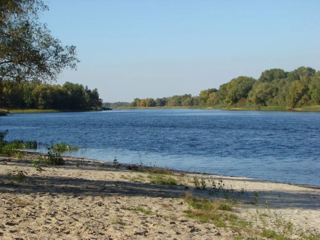 Rio calmo com margem de areia e arvores verdes