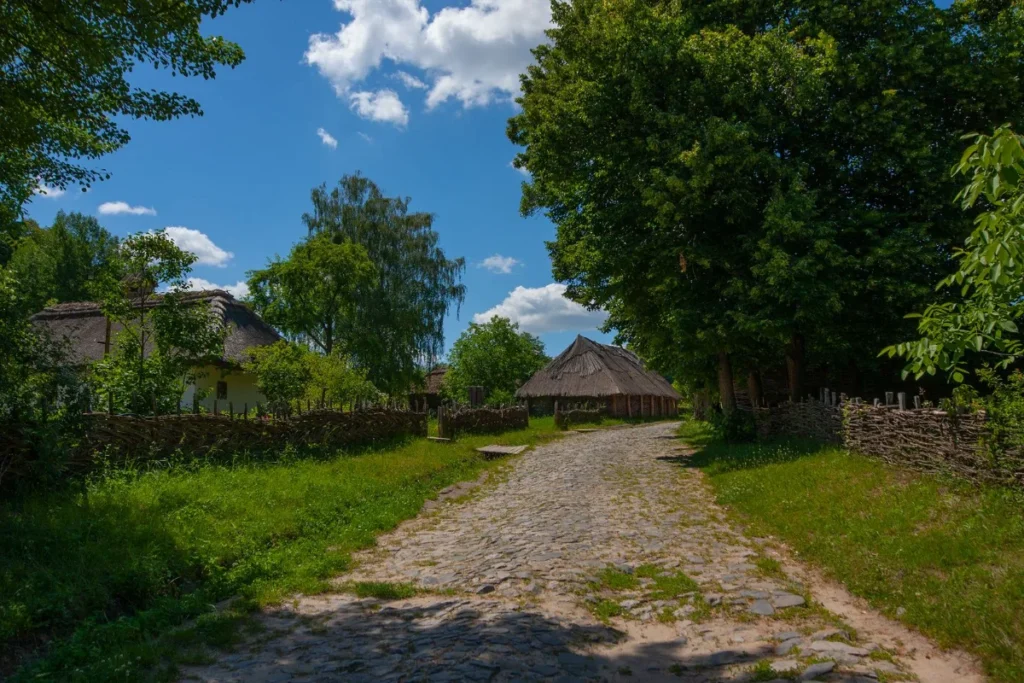 Caminho de terra entre arvores altas, convite para uma caminhada tranquila