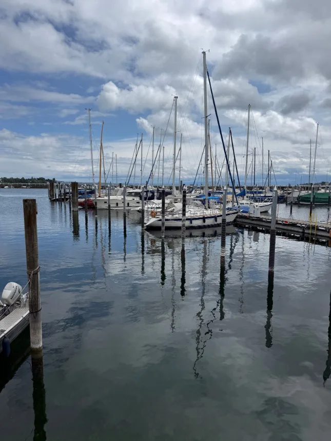 Marina com deck de madeira e veleiros atracados