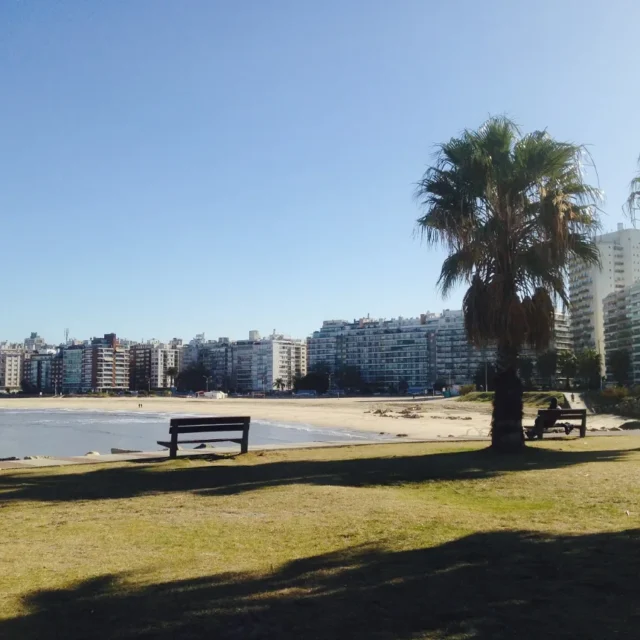 Praia de Pocitos com os predios do bairro ao fundo, em Montevideo