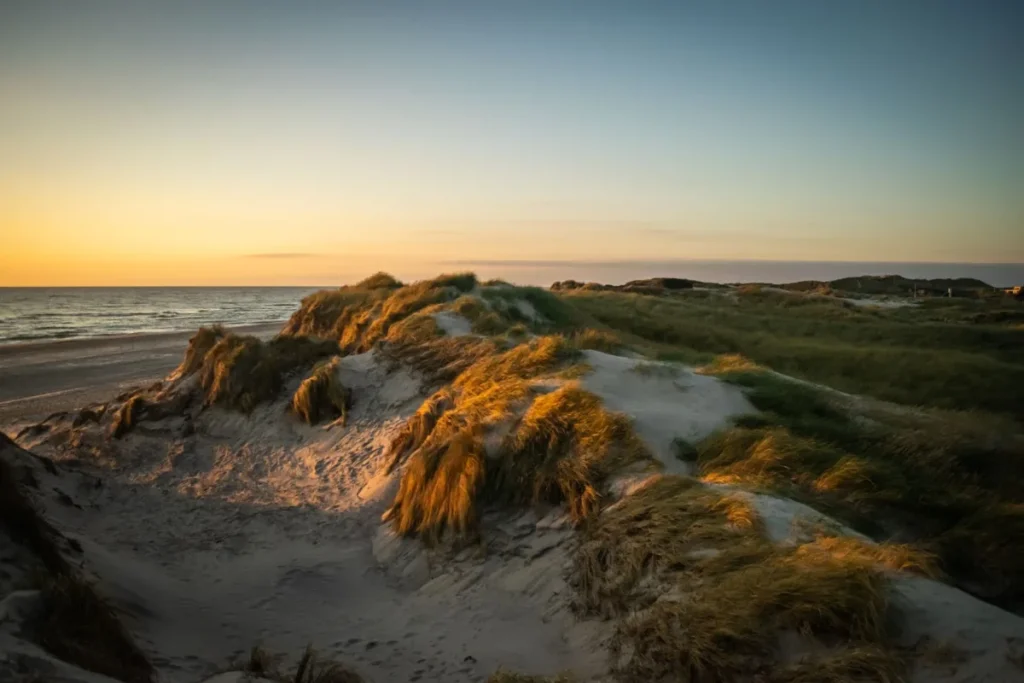 Dunas cobertas de vegetação rasteira à beira-mar