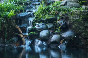 Pequena queda d agua sobre pedras cobertas de musgo em meio a vegetacao