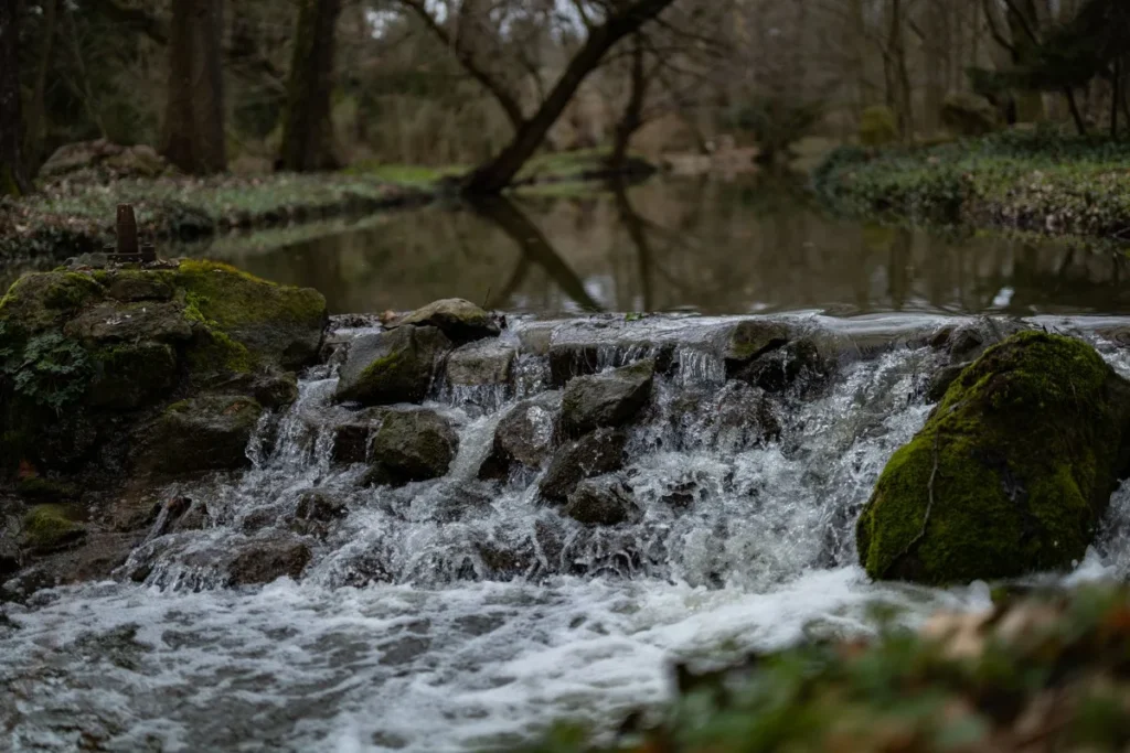 Riacho correndo sobre pedras em meio a arvores