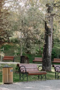 Praca arborizada com bancos a sombra, ambiente de jardim urbano no centro historico