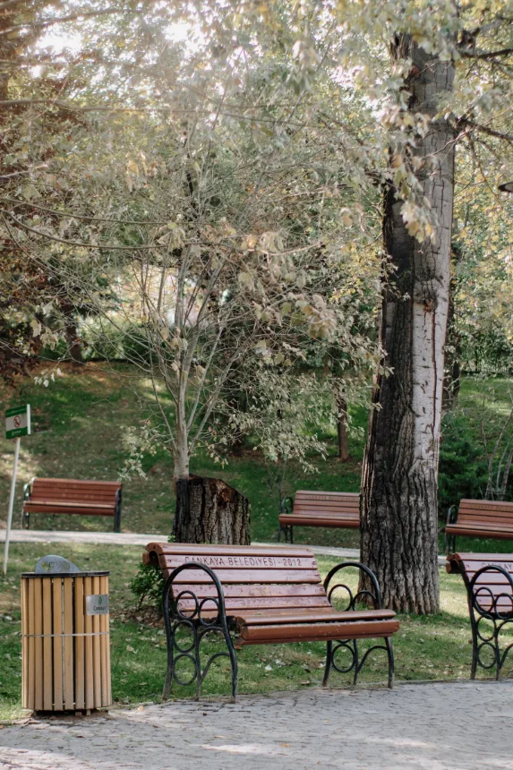 Praca arborizada com bancos a sombra, ambiente de jardim urbano no centro historico