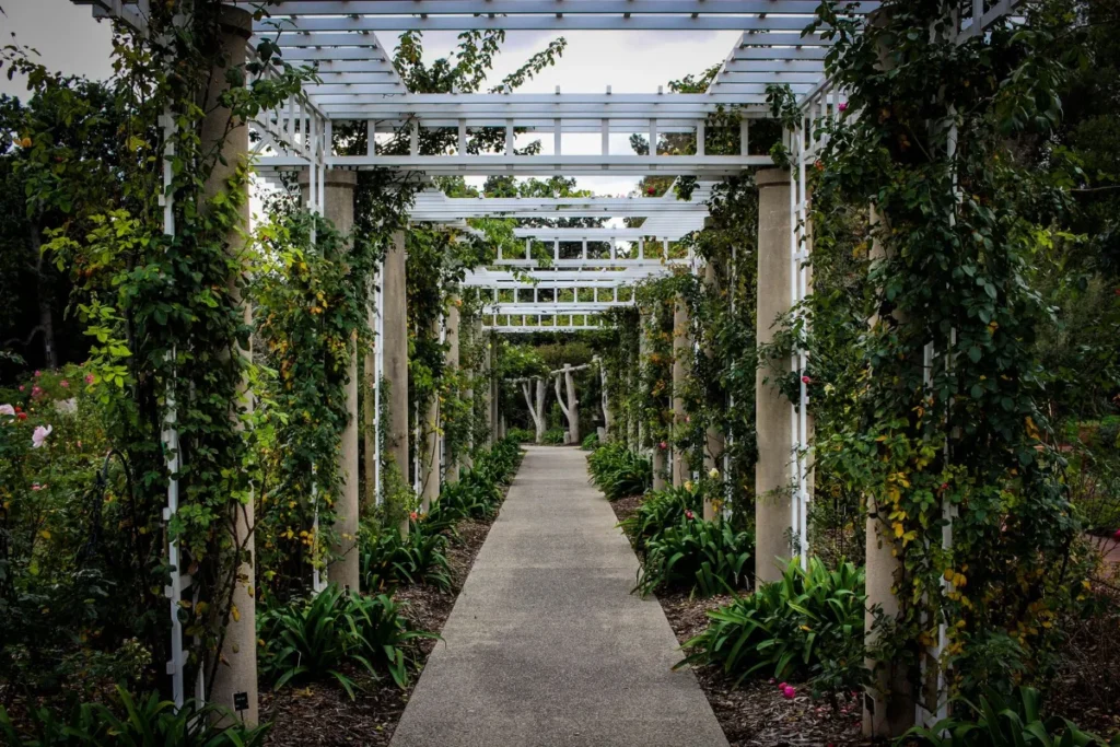 Caminho sob pérgola branca coberta de trepadeiras em parque