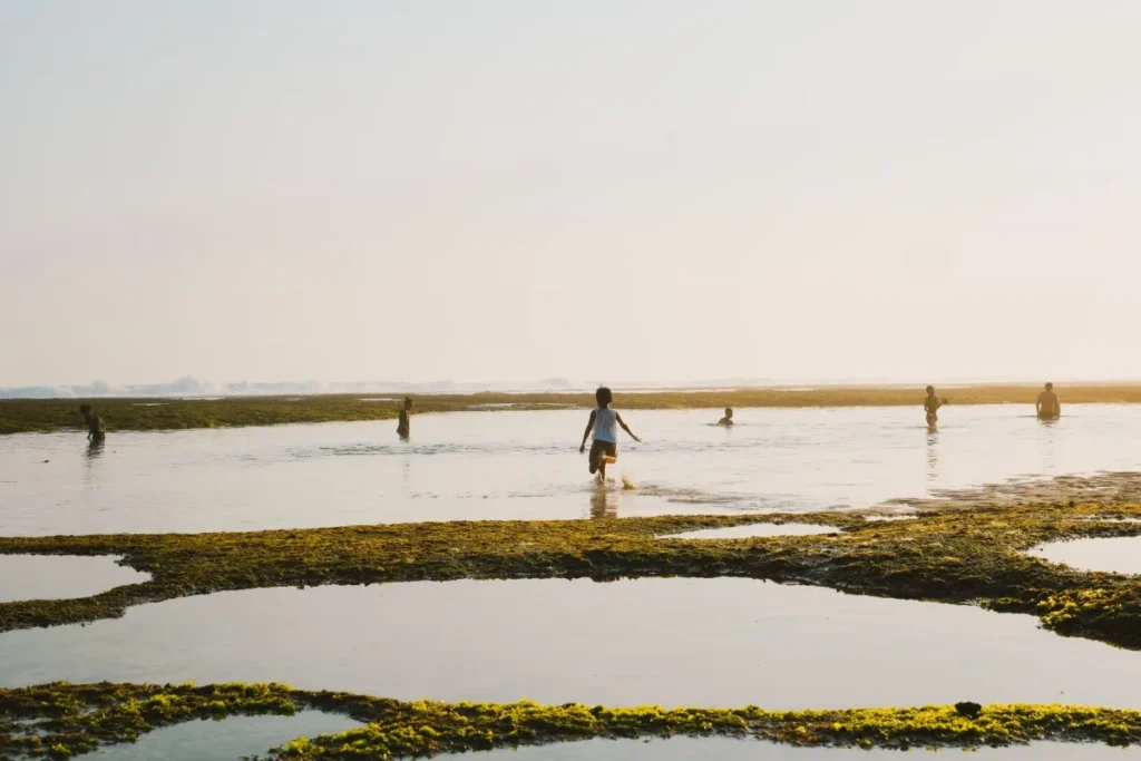 Praia de agua rasa e calma com pessoas caminhando no raso
