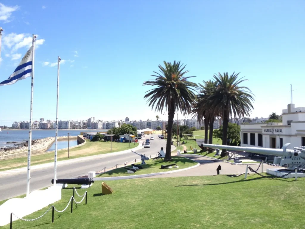 Vista da Rambla de Montevideo com palmeiras, avenida e o casario ao fundo