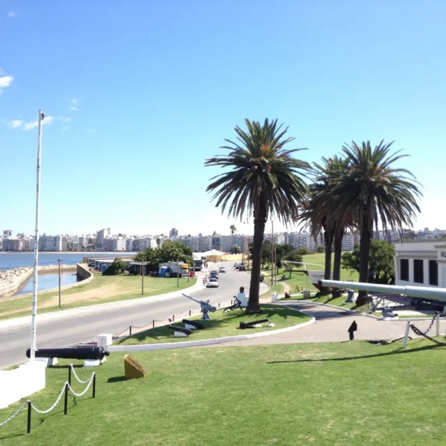 Vista da Rambla de Montevideo com palmeiras, avenida e o casario ao fundo