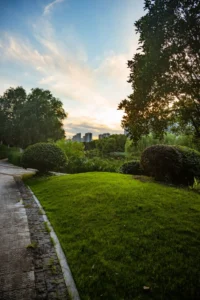 Gramado de parque urbano com arvores e predios da cidade ao fundo