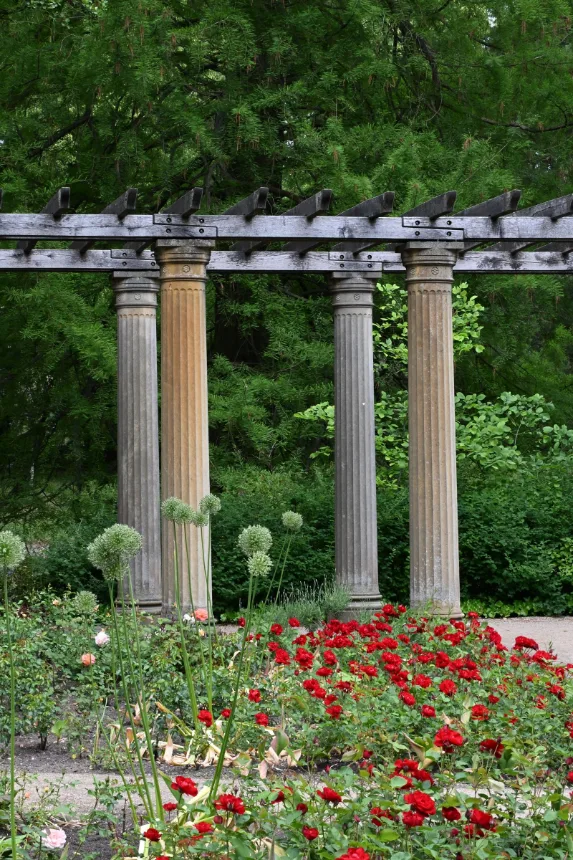 Pergola com colunas de pedra cercada por roseiras floridas