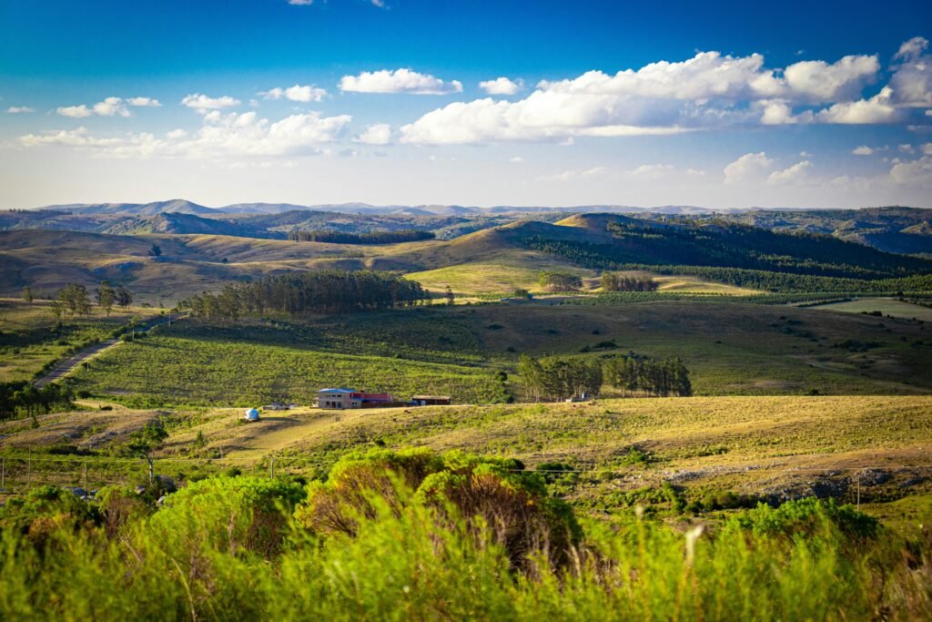 Paisagem ampla de encosta com campos ondulantes, árvores dispersas e uma pequena casa de fazenda em primeiro plano, sob um céu azul com nuvens brancas.
