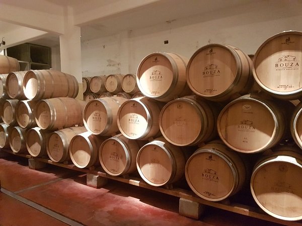 Fileiras de barris de carvalho para vinho, com a marca Bouza, empilhados em suportes na penumbra da adega.