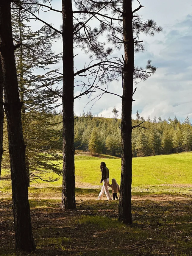 Caminhada por trilha entre árvores altas e campo aberto