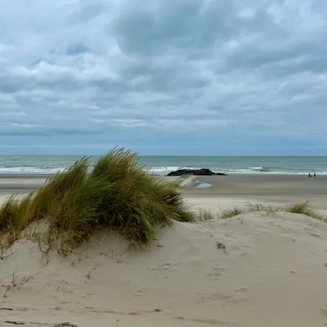 Dunas de areia com vegetacao rasteira e o mar ao fundo