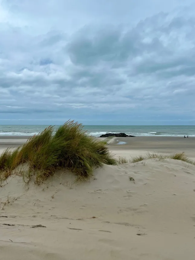 Dunas de areia com vegetacao rasteira e o mar ao fundo