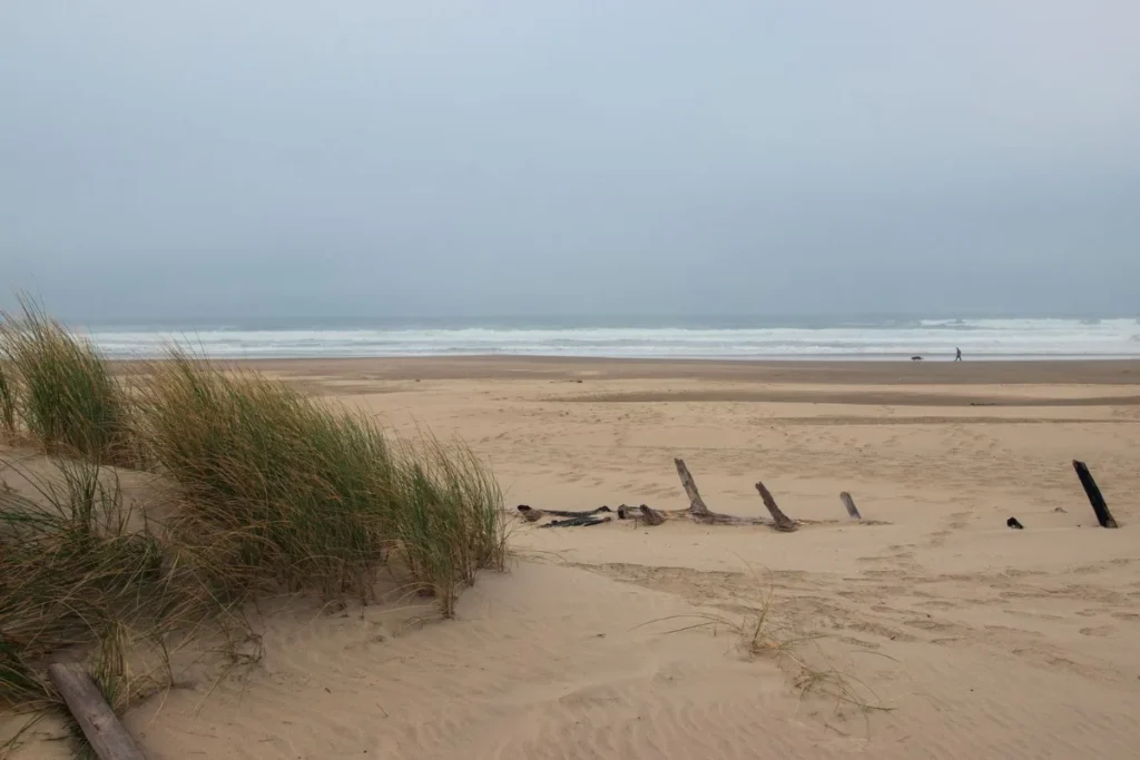 Praia larga com dunas e vegetacao rasteira sob ceu nublado