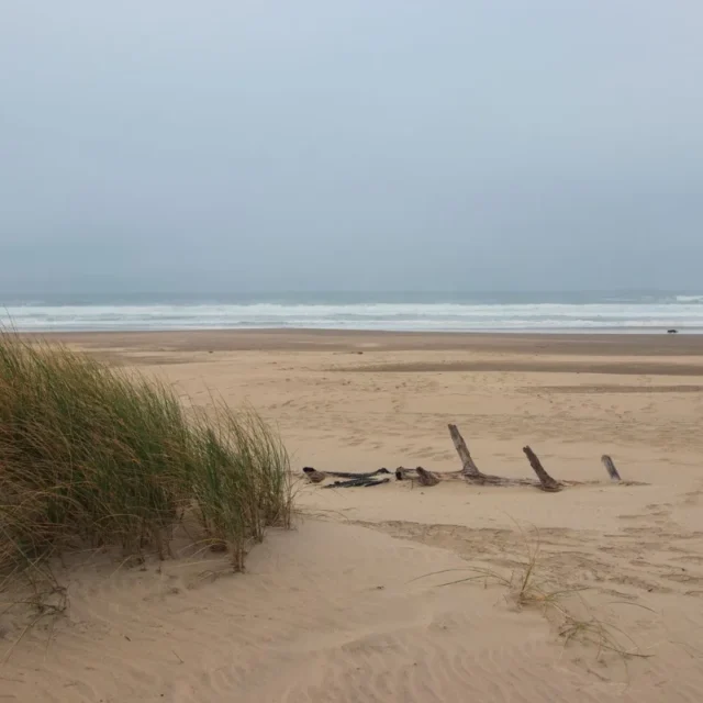 Praia larga com dunas e vegetacao rasteira sob ceu nublado