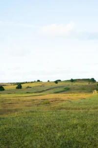 Campo ondulado com arvores esparsas sob ceu amplo, paisagem vista do alto